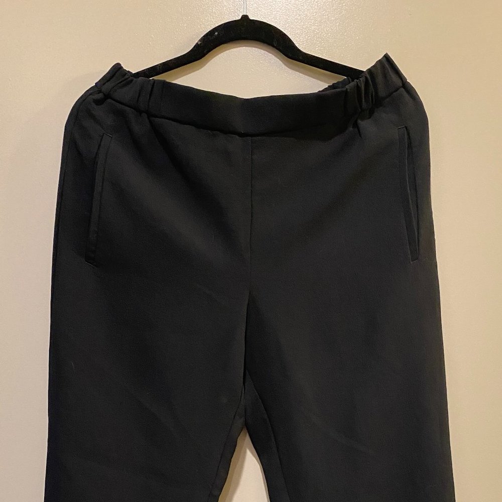 Aritzia Wilfred Elastic Waist Trousers